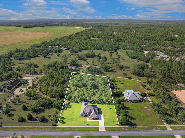 410 Coastal Breeze Dr, Freeport, FL 32439 - aerial overview of property's location with property boundaries highlighted and a heavily wooded area