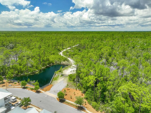 00 Pairie Pass, Santa Rosa Beach, FL 32459 - photo 6