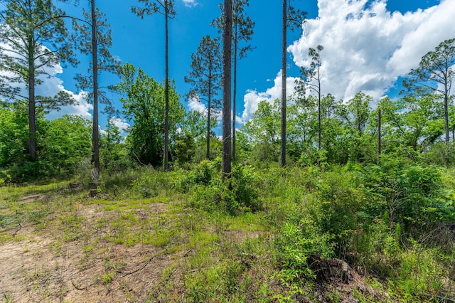 11 Sandy Ramp Rd, Defuniak Springs, FL 32433