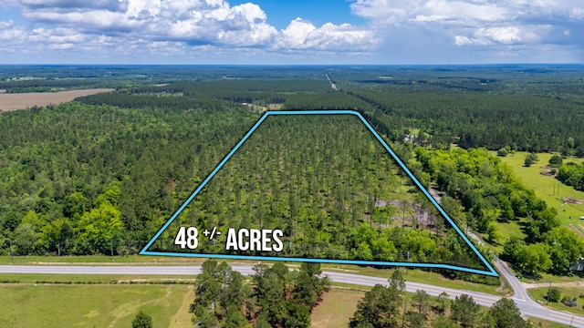 11 Sandy Ramp Rd, Defuniak Springs, FL 32433