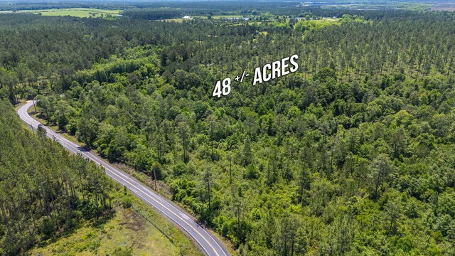 11 Sandy Ramp Rd, Defuniak Springs, FL 32433