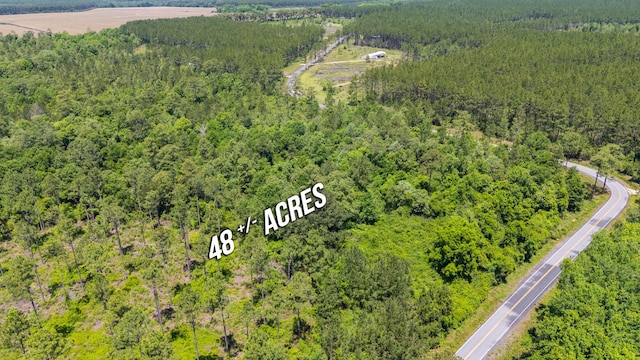 11 Sandy Ramp Rd, Defuniak Springs, FL 32433