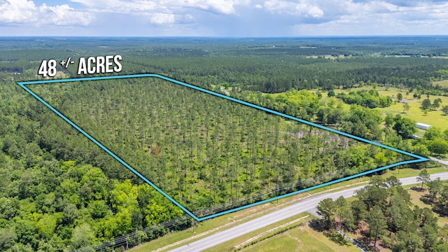 11 Sandy Ramp Rd, Defuniak Springs, FL 32433