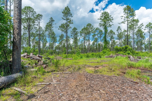 11 Sandy Ramp Rd, Defuniak Springs, FL 32433