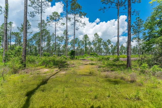 11 Sandy Ramp Rd, Defuniak Springs, FL 32433