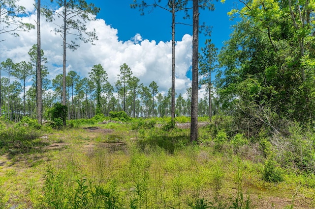 11 Sandy Ramp Rd, Defuniak Springs, FL 32433