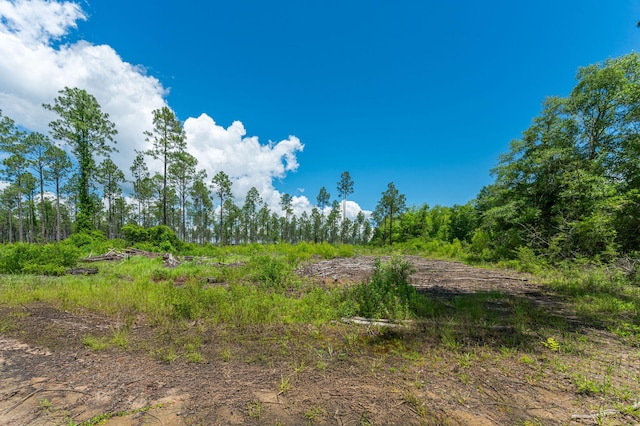 11 Sandy Ramp Rd, Defuniak Springs, FL 32433