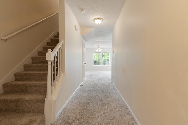 282 Swaying Pine Ct, Crestview, FL 32539 - hall with carpet flooring, stairway, baseboards, and a textured ceiling