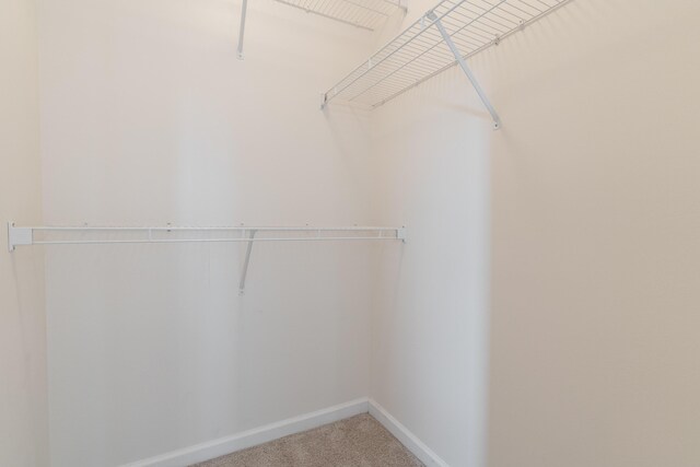 282 Swaying Pine Ct, Crestview, FL 32539 - spacious closet featuring carpet flooring