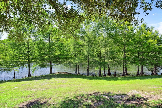 view of grassy yard featuring a water view