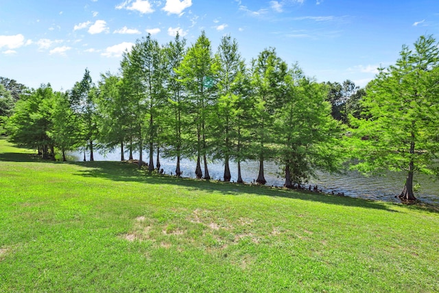 view of green lawn