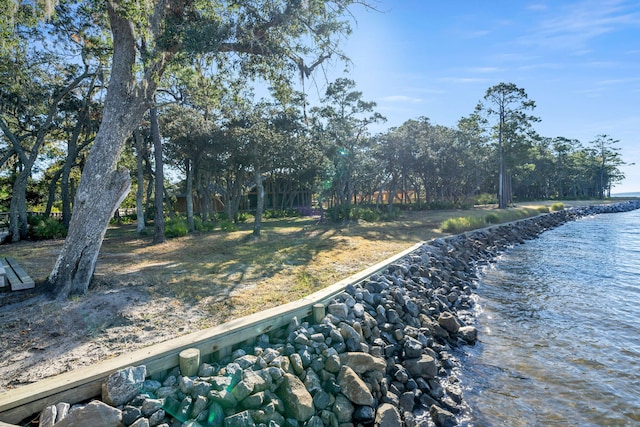 view of yard with a water view