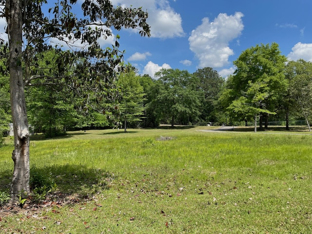 5882 Willow Ln, Crestview, FL 32539 - view of yard