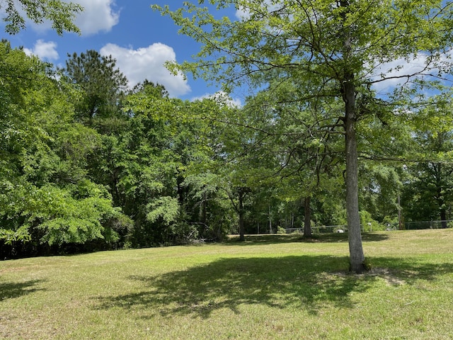 5882 Willow Ln, Crestview, FL 32539 - view of green lawn