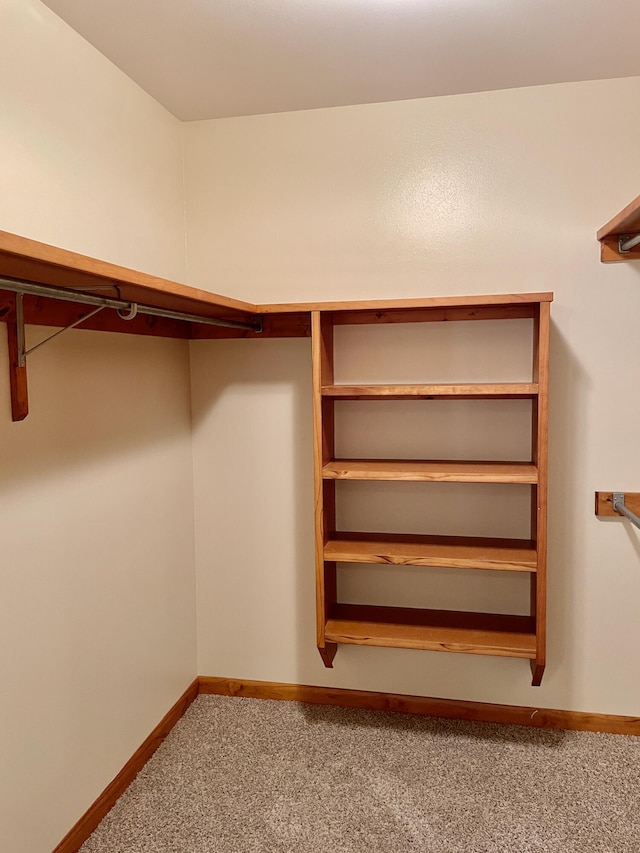 5882 Willow Ln, Crestview, FL 32539 - spacious closet featuring carpet flooring
