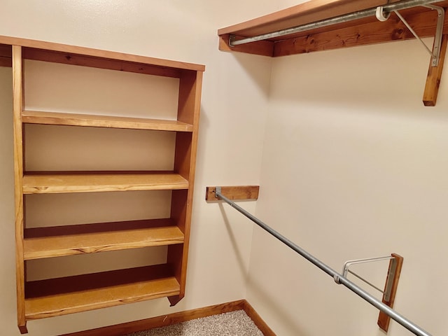 5882 Willow Ln, Crestview, FL 32539 - walk in closet with carpet flooring