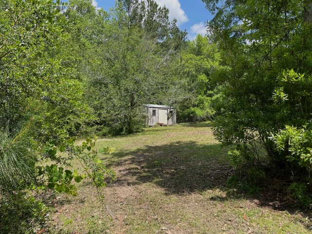 5882 Willow Ln, Crestview, FL 32539 - view of yard with a storage unit, an outdoor structure, and a forest view