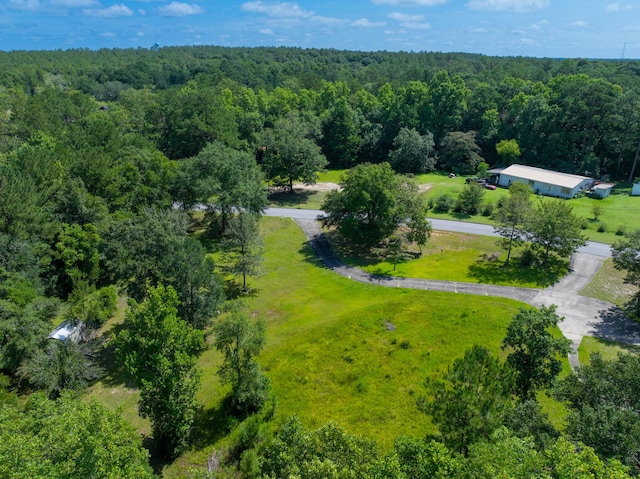 5882 Willow Ln, Crestview, FL 32539 - photo 48