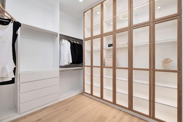 238 Sand Oaks Cir, Santa Rosa Beach, FL 32459 - spacious closet featuring light wood-style floors