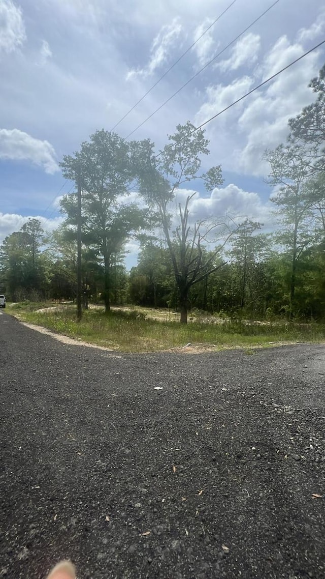 1.94ACRES Lakewood Dr, Defuniak Springs, FL 32435 - photo 1