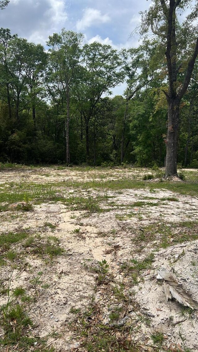 1.94ACRES Lakewood Dr, Defuniak Springs, FL 32435 - photo 4