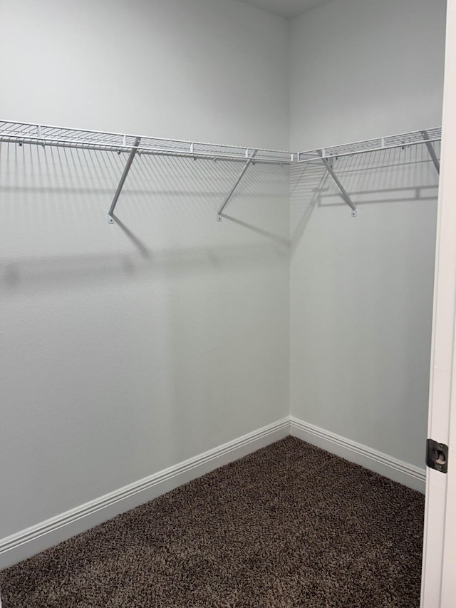 3154 Maple St, Crestview, FL 32539 - spacious closet featuring carpet flooring