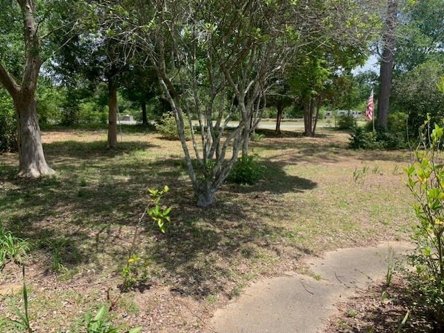 4099 State Highway 83, Defuniak Springs, FL 32433 - view of yard featuring view of wooded area