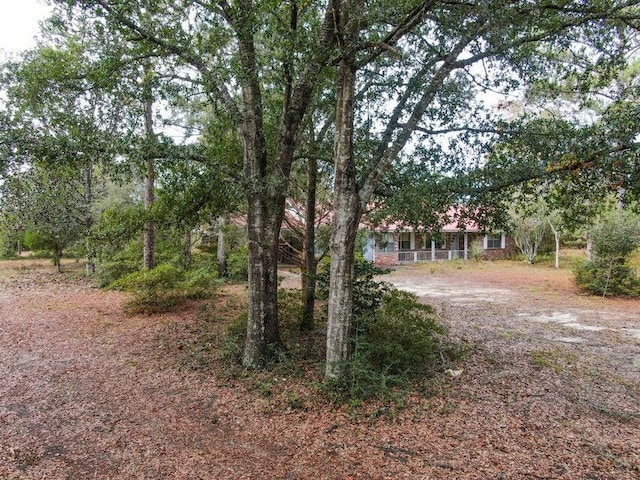 4099 State Highway 83, Defuniak Springs, FL 32433 - view of yard