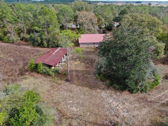 4099 State Highway 83, Defuniak Springs, FL 32433 - view of subject property with a forest