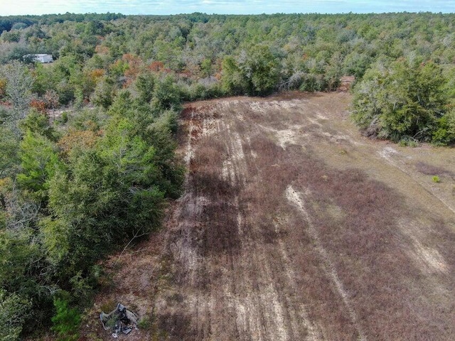 4099 State Highway 83, Defuniak Springs, FL 32433 - bird's eye view of a forest