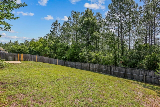 312 Scotch Pine Ln, Crestview, FL 32536 - view of yard