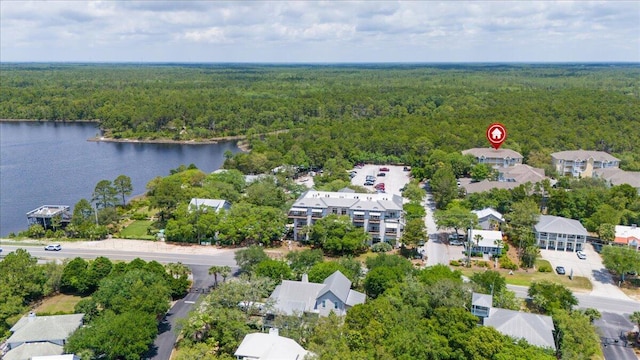34 Herons Watch Way Unit 1203, Santa Rosa Beach, FL 32459 - bird's eye view of a forest and a nearby body of water