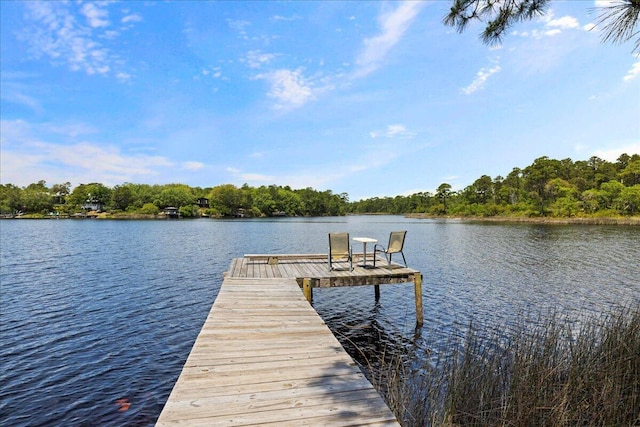 34 Herons Watch Way Unit 1203, Santa Rosa Beach, FL 32459 - dock with a water view