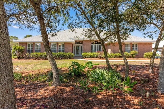 207 E Shipwreck Rd, Santa Rosa Beach, FL 32459 - ranch-style house featuring brick siding, a shingled roof, and a front lawn