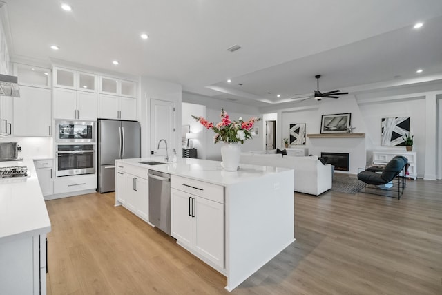 425 W Lafayette, Inlet Beach, FL 32461 - kitchen with stainless steel appliances, a sink, a glass covered fireplace, recessed lighting, and a ceiling fan
