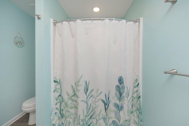 41 S Hidden Lakes Trl, Defuniak Springs, FL 32433 - full bath with toilet, wood finished floors, and a shower with shower curtain