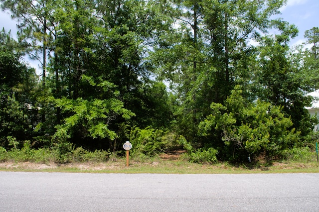 LOT59 Muzzle St, Freeport, FL 32439