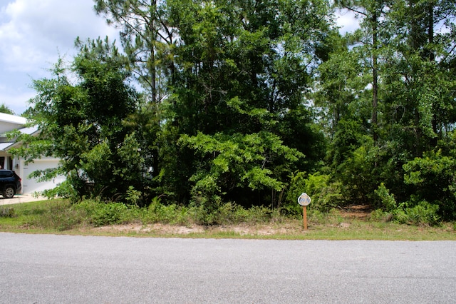 LOT59 Muzzle St, Freeport, FL 32439
