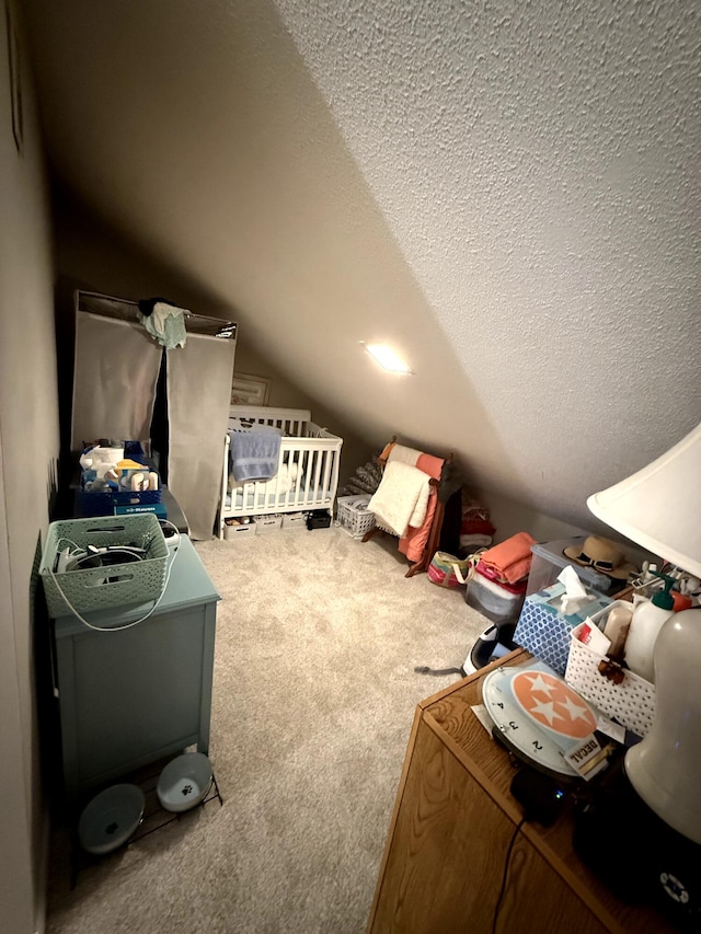 5144 Beachwalk Cir, Miramar Beach, FL 32550 - bonus room featuring lofted ceiling, carpet floors, and a textured ceiling