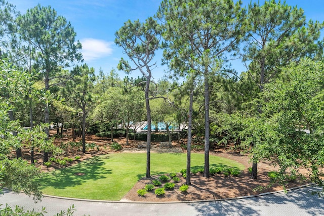 227 Sand Hill Cir, Santa Rosa Beach, FL 32459 - photo 51
