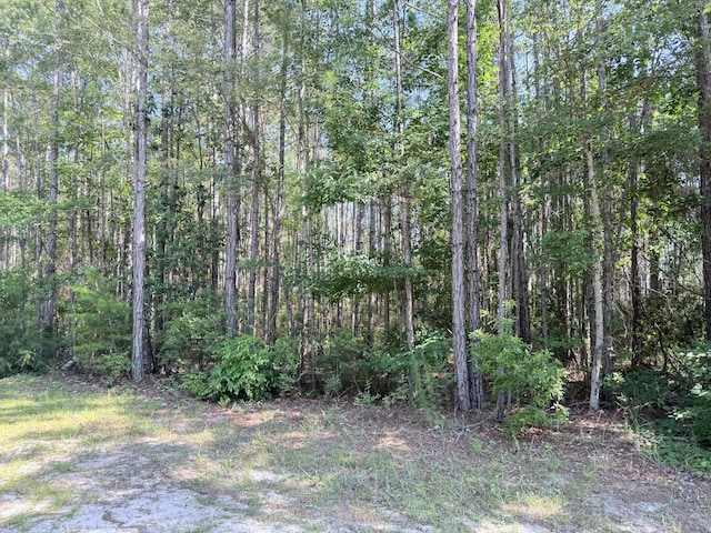 LOT3 Preston Path, Santa Rosa Beach, FL 32459 - photo 4