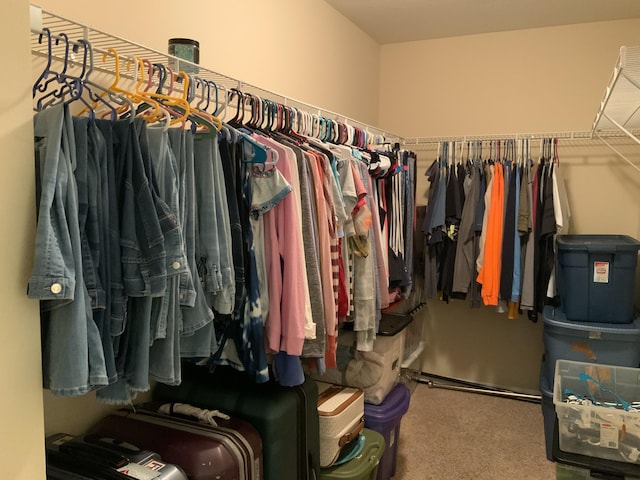spacious closet featuring carpet flooring