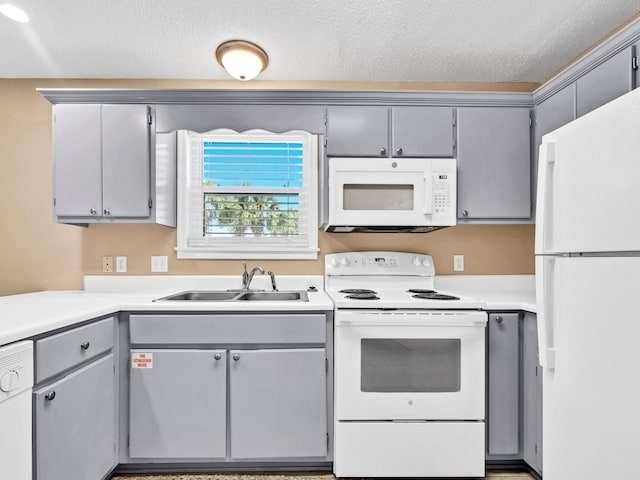 11 Beachside Dr Unit 1211, Santa Rosa Beach, FL 32459 - kitchen featuring white appliances, a sink, gray cabinetry, light countertops, and a textured ceiling