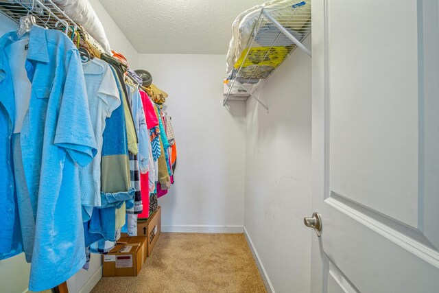 7930 S Lagoon Dr, Panama City Beach, FL 32408 - photo 57
