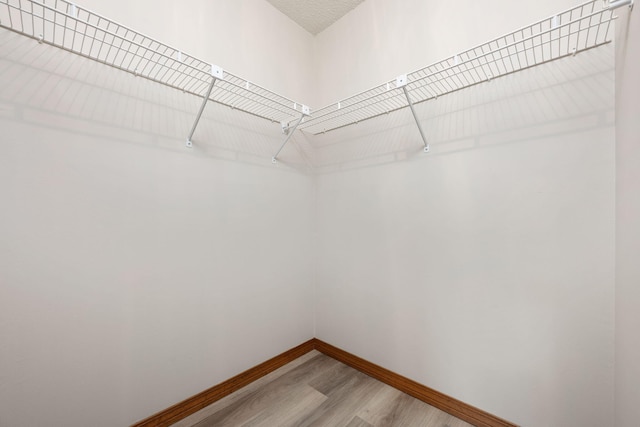 136 Midland Ct, Niceville, FL 32578 - spacious closet with light wood finished floors