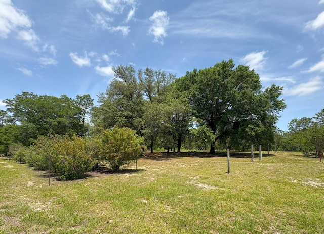 3864 Bear Head Rd, Crestview, FL 32539 - view of grassy yard