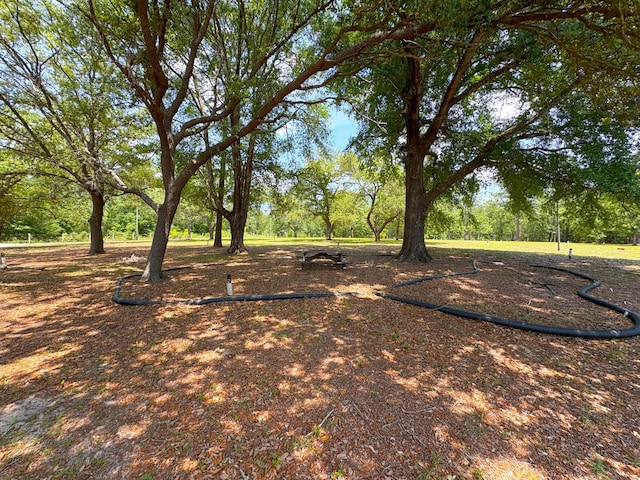 3864 Bear Head Rd, Crestview, FL 32539 - view of yard