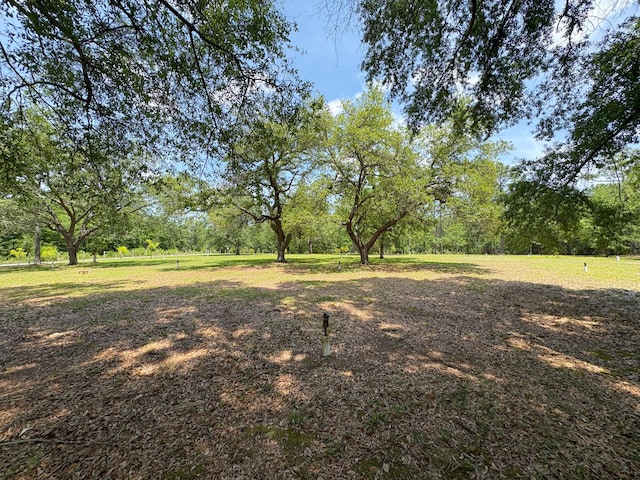 3864 Bear Head Rd, Crestview, FL 32539 - view of yard