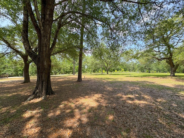 3864 Bear Head Rd, Crestview, FL 32539 - view of yard