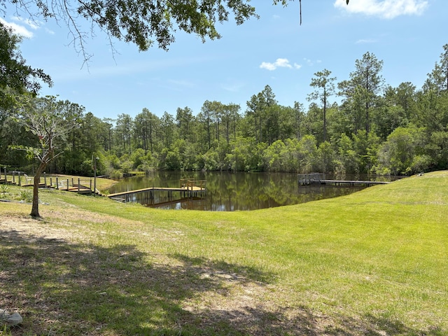 3864 Bear Head Rd, Crestview, FL 32539 - view of grassy yard with a water view and a view of trees